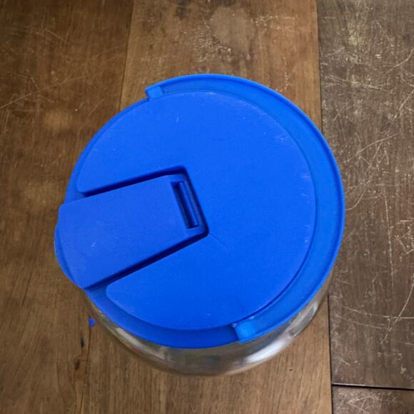 Vintage GALLON Blue Pink‎ Birdhouse Design Glass Drink Dispenser - Picture 2 of 11